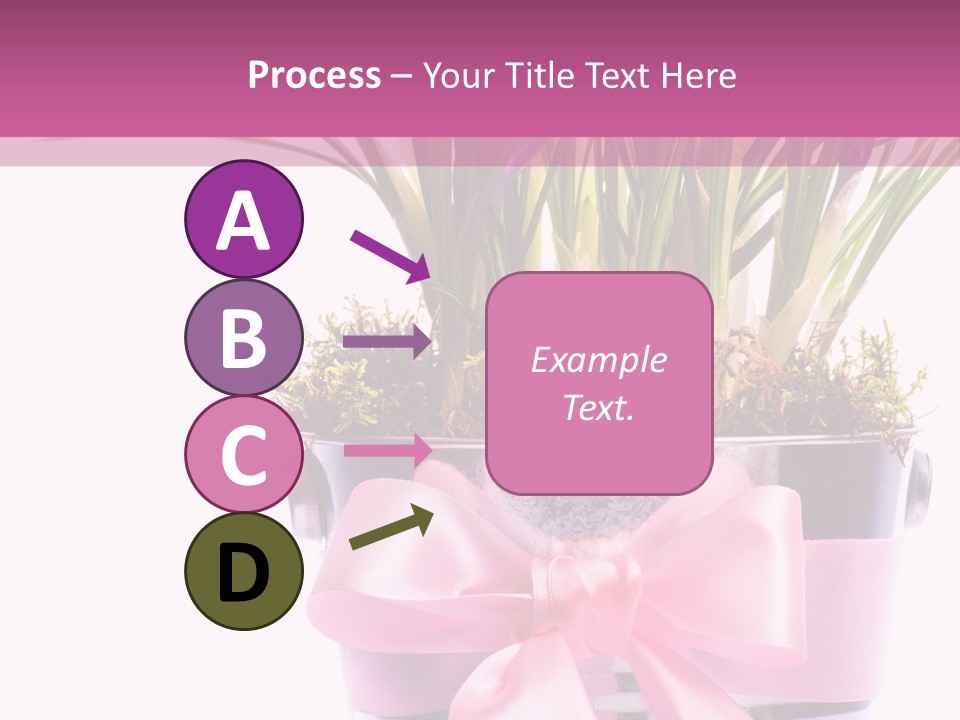 Decoration Present Elegant PowerPoint Template
