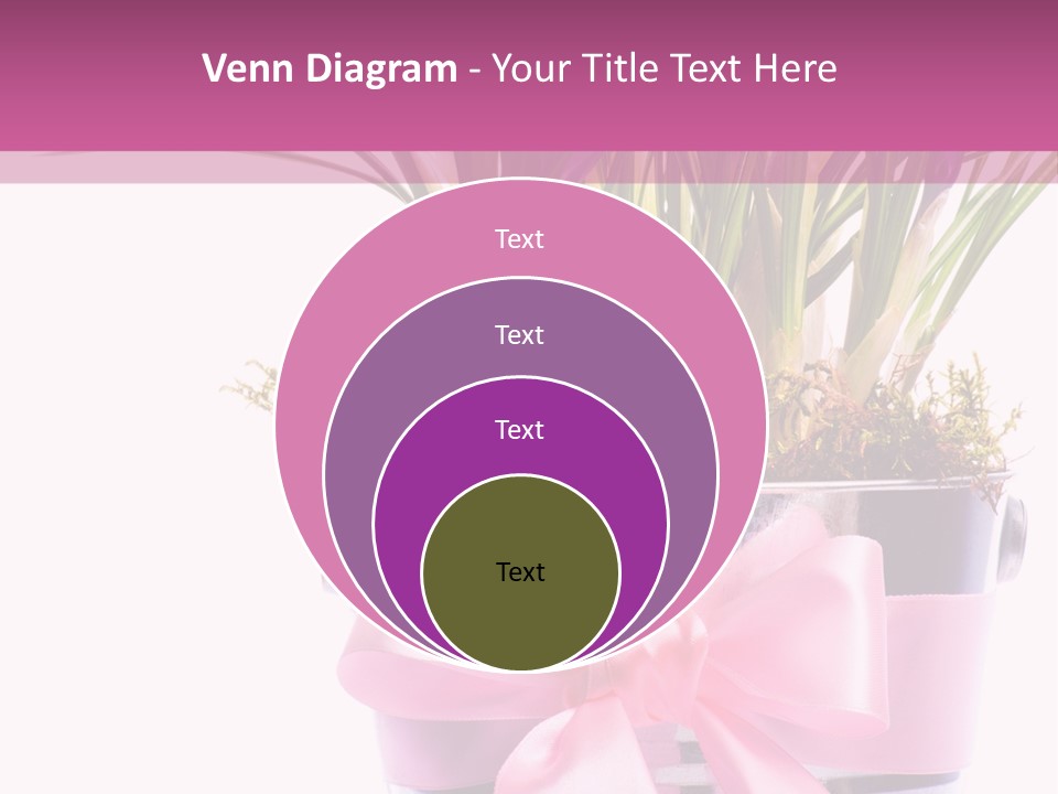 Decoration Present Elegant PowerPoint Template