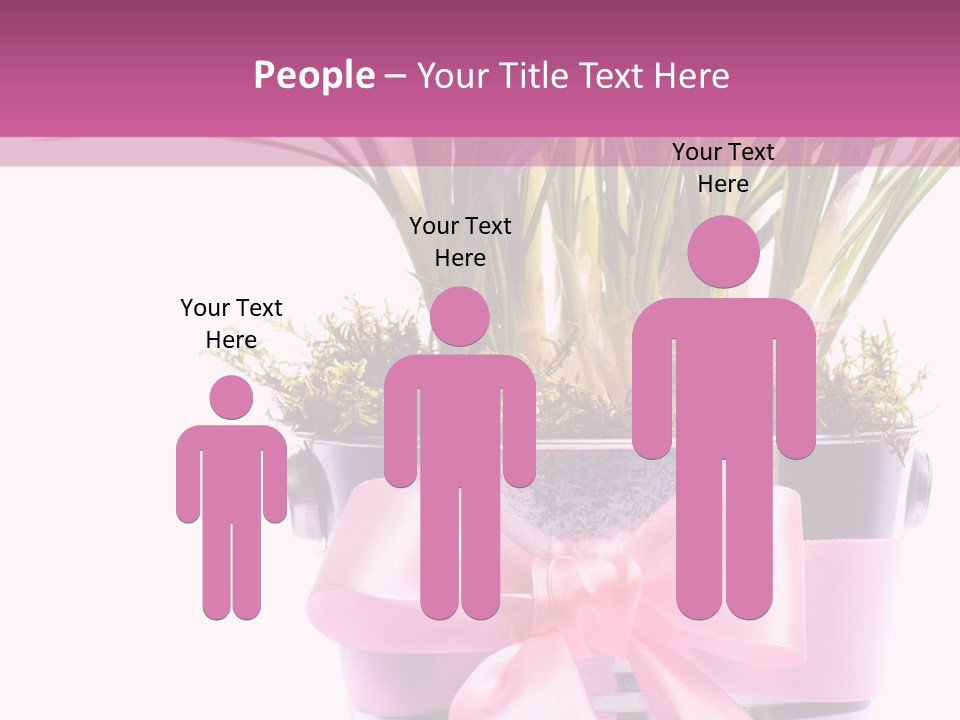 Decoration Present Elegant PowerPoint Template