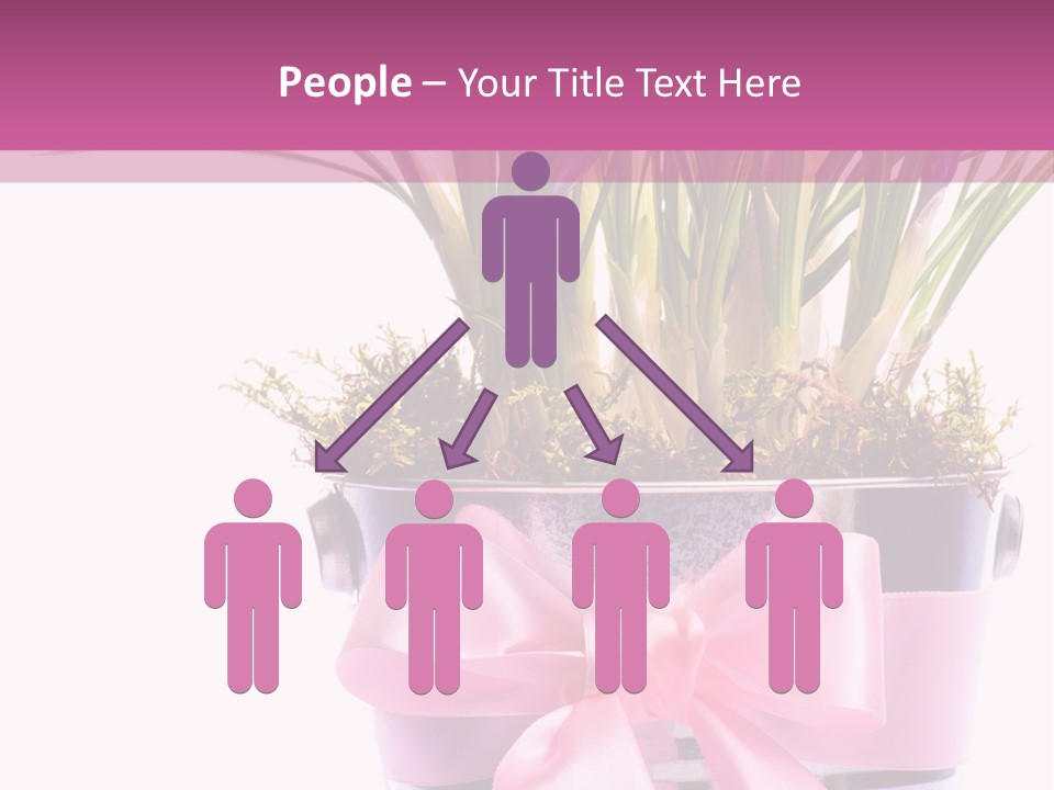 Decoration Present Elegant PowerPoint Template