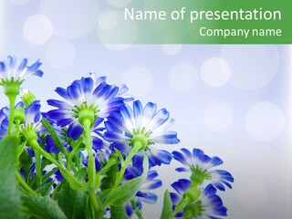 Bloom Blue Bokeh PowerPoint Template