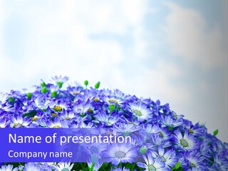 Summer Meadow Clouds PowerPoint Template