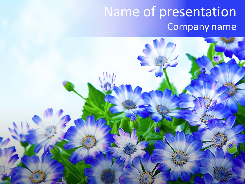 Flower Celebration Floral PowerPoint Template