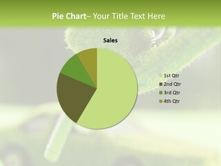 Isolated Ecology Pipe PowerPoint Template