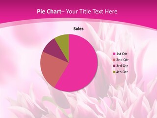 Flower Celebration Floral PowerPoint Template