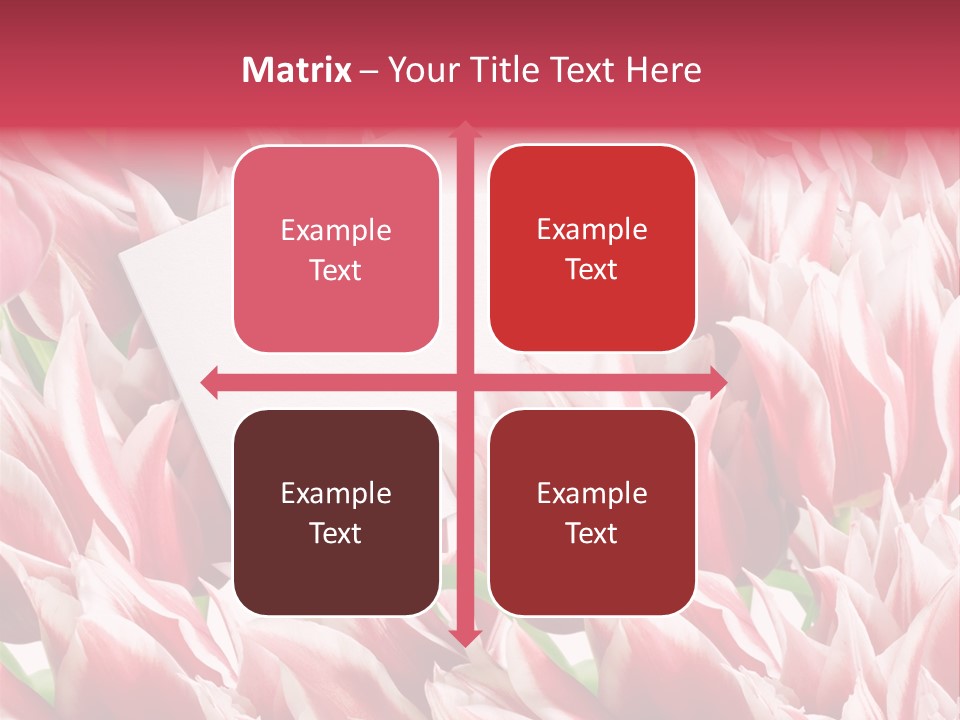 Blossom Macro Wedding PowerPoint Template