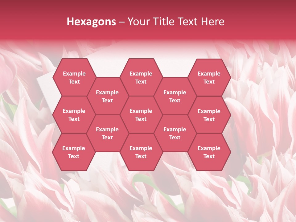 Blossom Macro Wedding PowerPoint Template