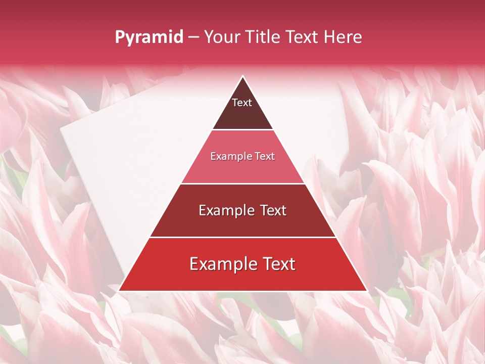 Blossom Macro Wedding PowerPoint Template