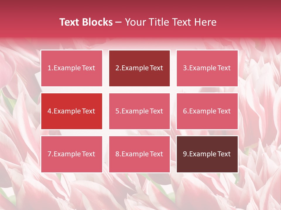 Blossom Macro Wedding PowerPoint Template