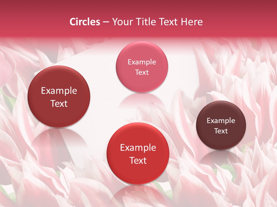 Blossom Macro Wedding PowerPoint Template