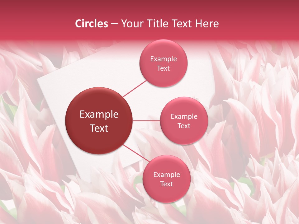 Blossom Macro Wedding PowerPoint Template