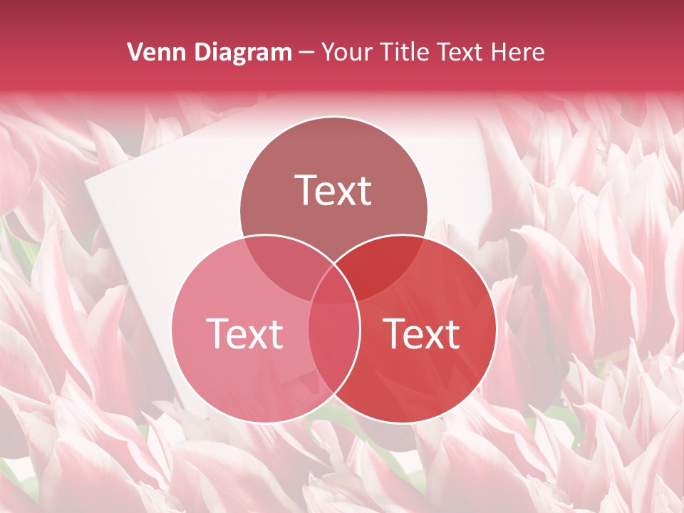 Blossom Macro Wedding PowerPoint Template