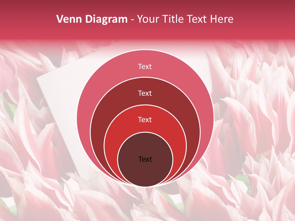 Blossom Macro Wedding PowerPoint Template