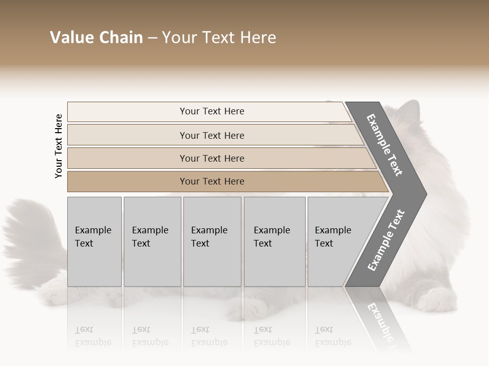 Ragdoll Cat Cat Gray PowerPoint Template