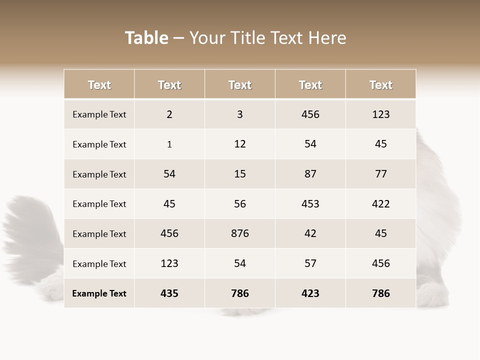 Ragdoll Cat Cat Gray PowerPoint Template