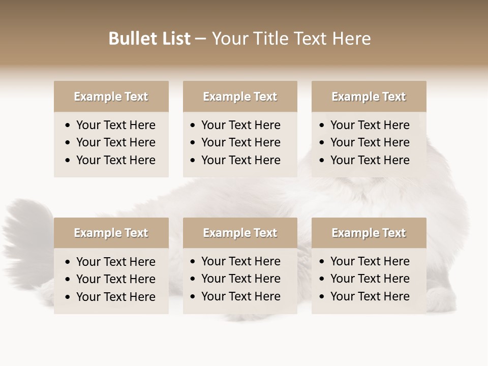 Ragdoll Cat Cat Gray PowerPoint Template