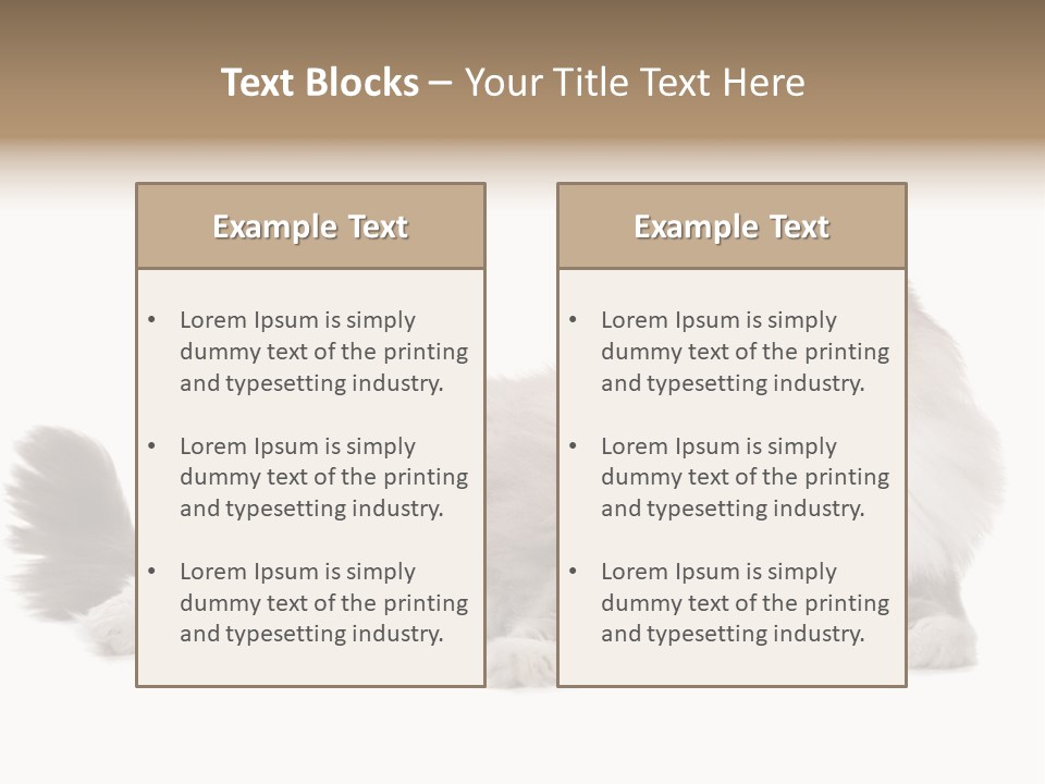 Ragdoll Cat Cat Gray PowerPoint Template