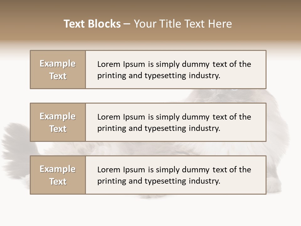 Ragdoll Cat Cat Gray PowerPoint Template