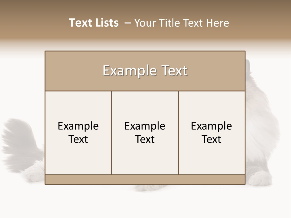 Ragdoll Cat Cat Gray PowerPoint Template