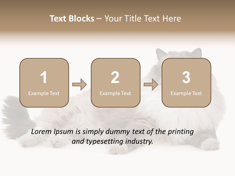 Ragdoll Cat Cat Gray PowerPoint Template