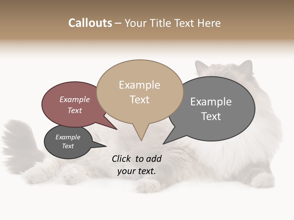 Ragdoll Cat Cat Gray PowerPoint Template
