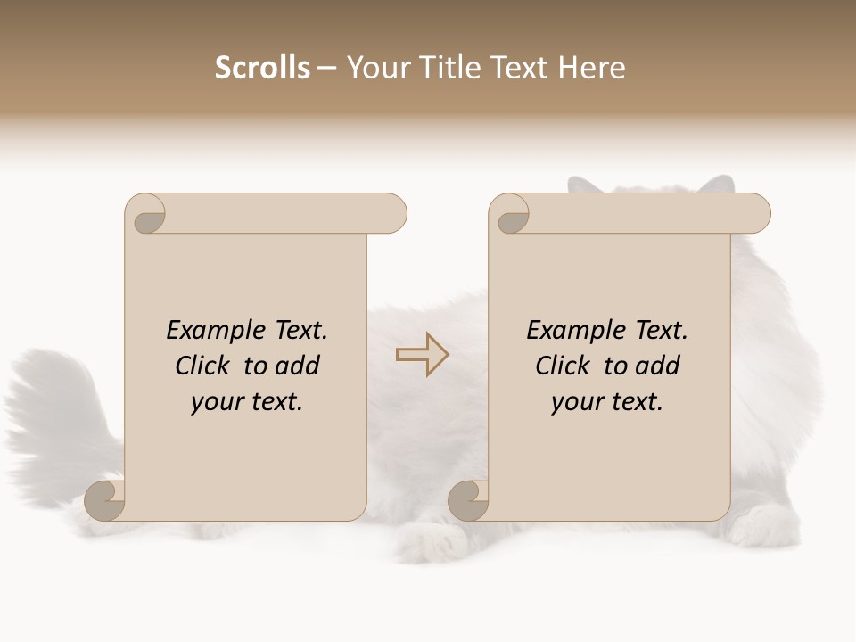 Ragdoll Cat Cat Gray PowerPoint Template