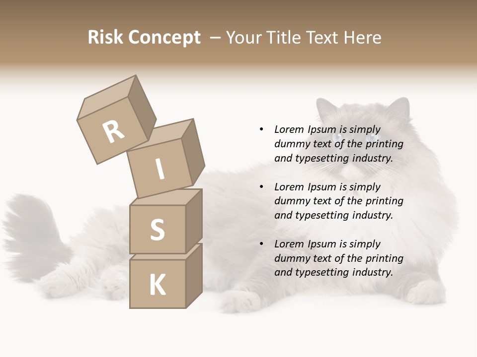 Ragdoll Cat Cat Gray PowerPoint Template