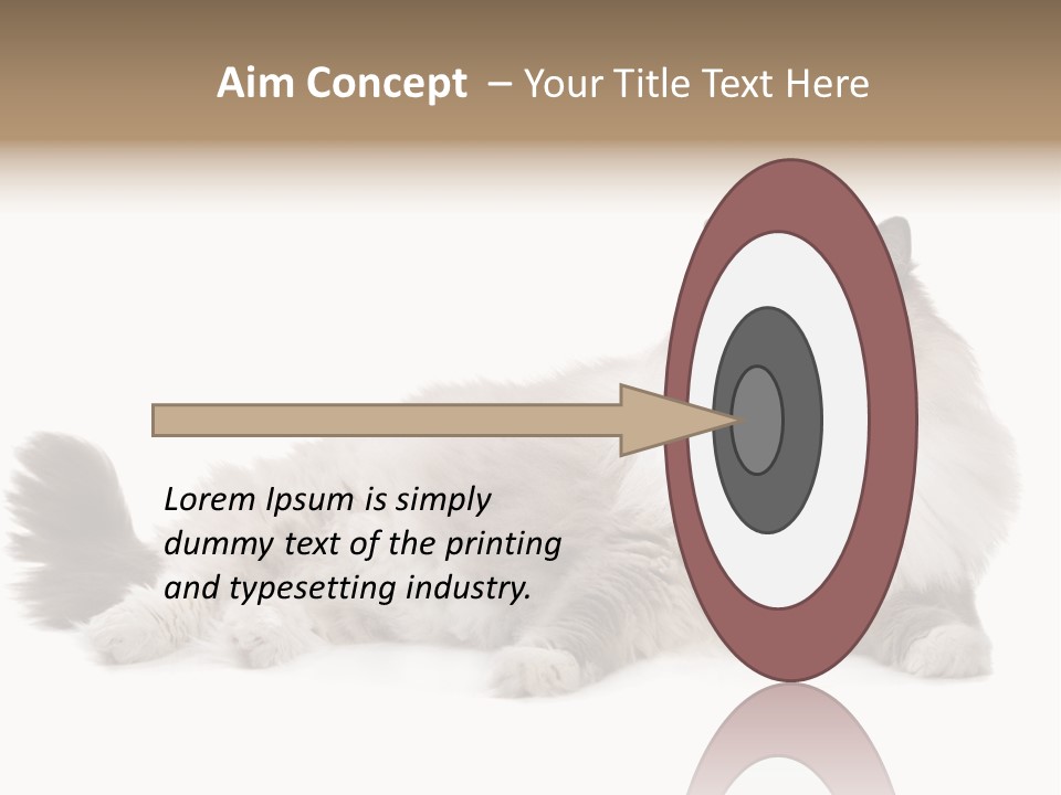 Ragdoll Cat Cat Gray PowerPoint Template