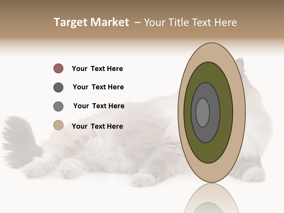 Ragdoll Cat Cat Gray PowerPoint Template