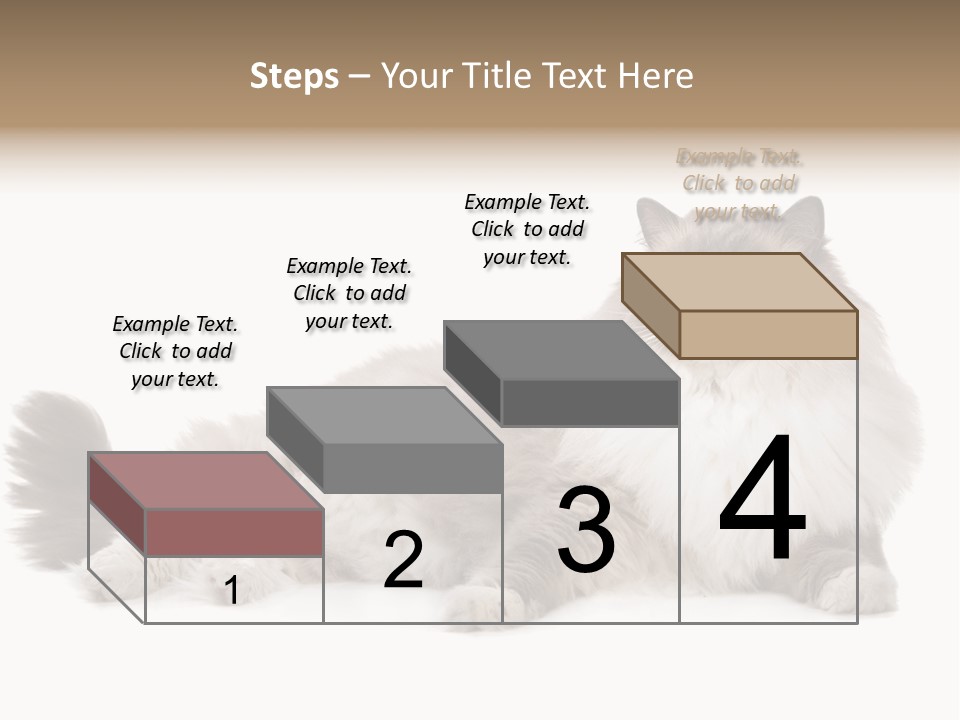 Ragdoll Cat Cat Gray PowerPoint Template