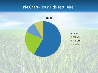 Sun Meadow Paradise PowerPoint Template