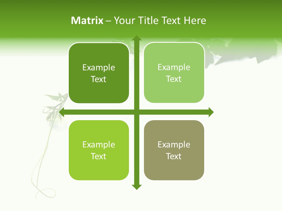 Feuille Petroselinum Sativum Vrilles PowerPoint Template