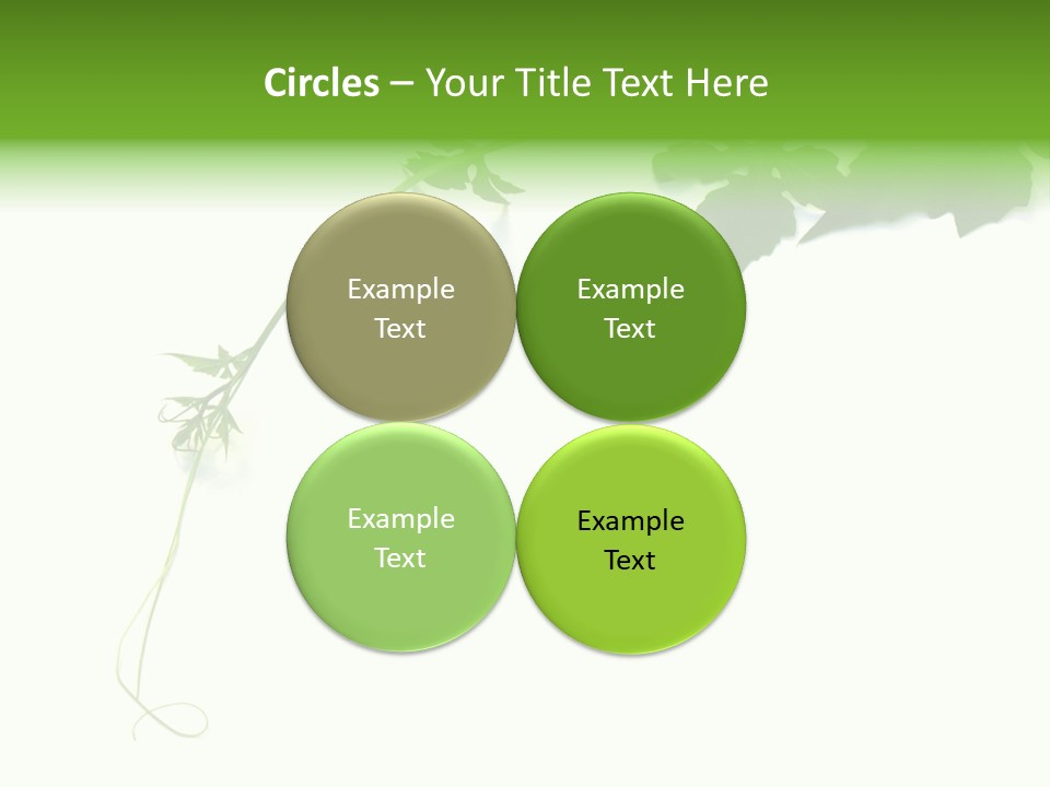 Feuille Petroselinum Sativum Vrilles PowerPoint Template