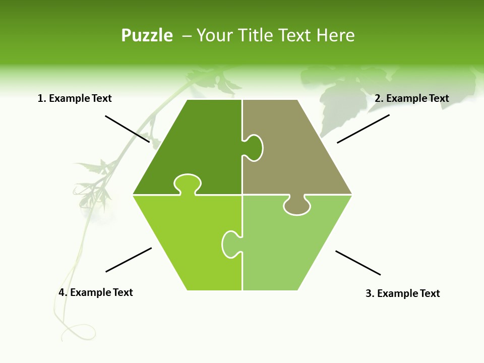 Feuille Petroselinum Sativum Vrilles PowerPoint Template