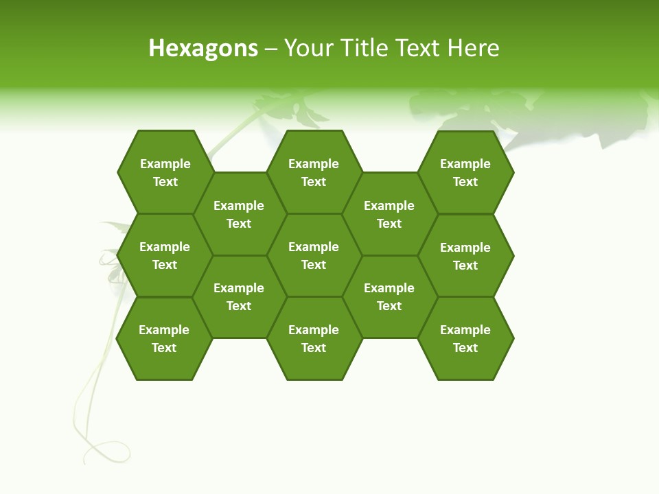 Feuille Petroselinum Sativum Vrilles PowerPoint Template