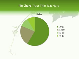 Feuille Petroselinum Sativum Vrilles PowerPoint Template