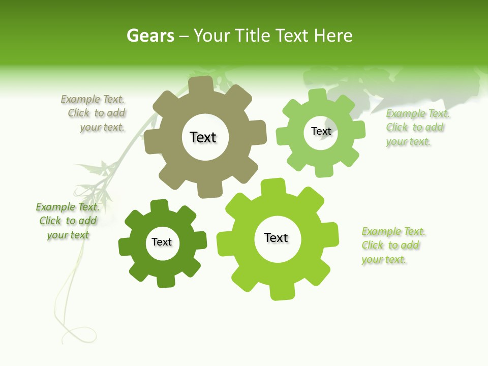 Feuille Petroselinum Sativum Vrilles PowerPoint Template