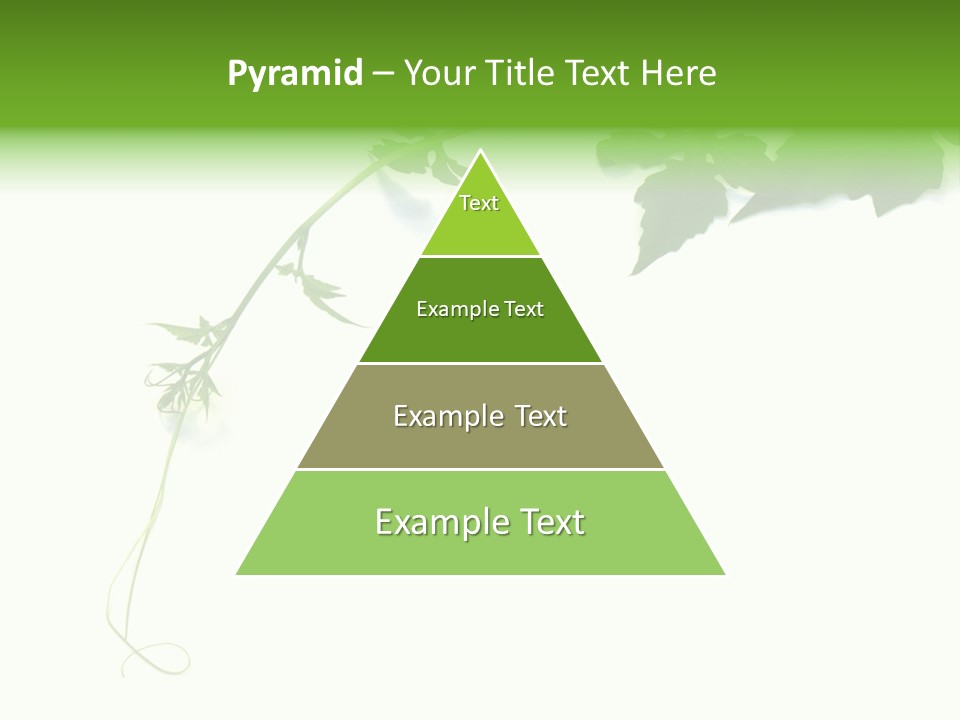 Feuille Petroselinum Sativum Vrilles PowerPoint Template