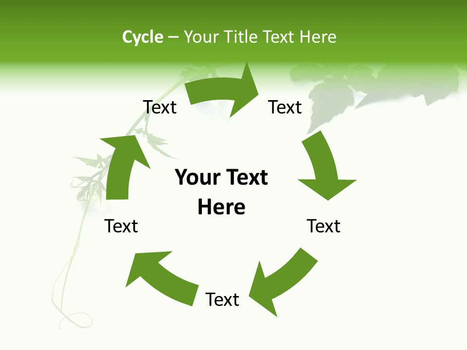 Feuille Petroselinum Sativum Vrilles PowerPoint Template