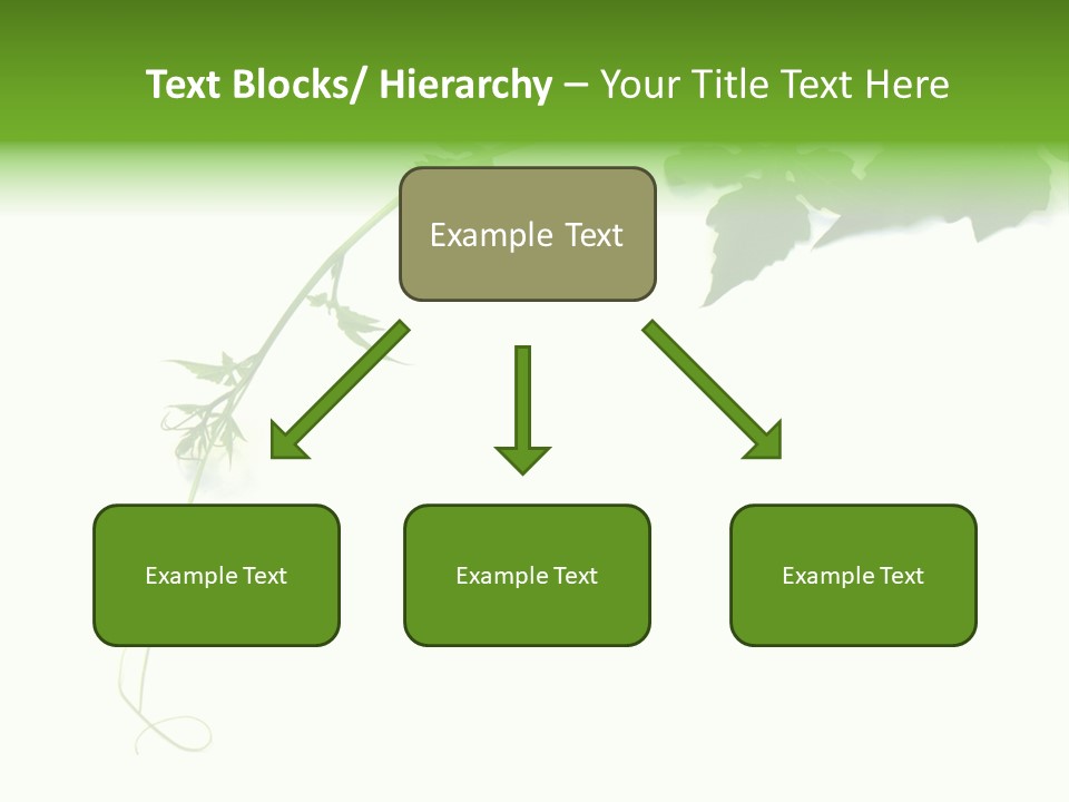 Feuille Petroselinum Sativum Vrilles PowerPoint Template
