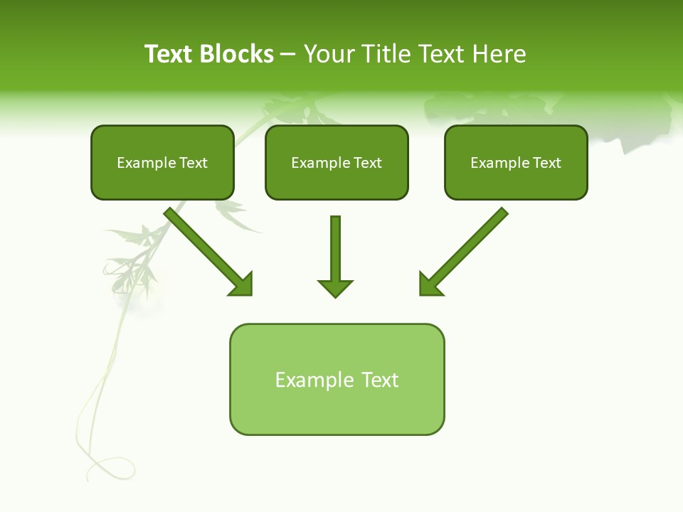 Feuille Petroselinum Sativum Vrilles PowerPoint Template