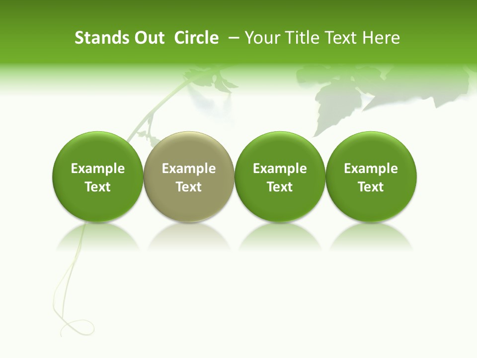 Feuille Petroselinum Sativum Vrilles PowerPoint Template