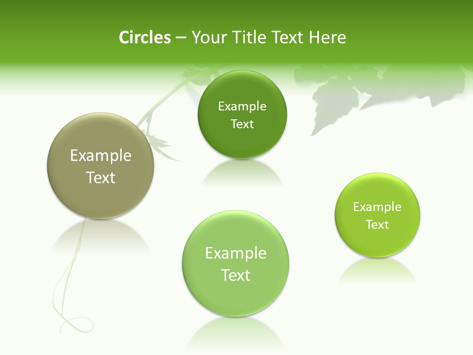 Feuille Petroselinum Sativum Vrilles PowerPoint Template