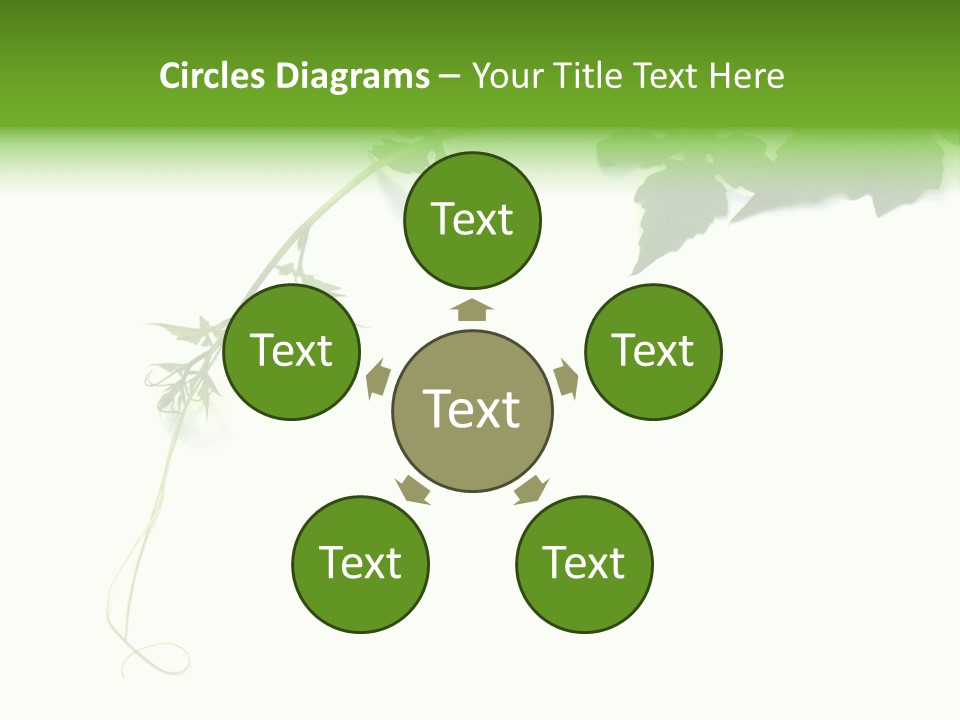 Feuille Petroselinum Sativum Vrilles PowerPoint Template