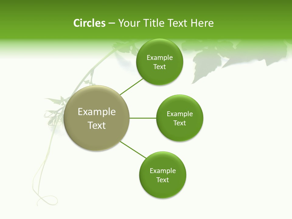 Feuille Petroselinum Sativum Vrilles PowerPoint Template