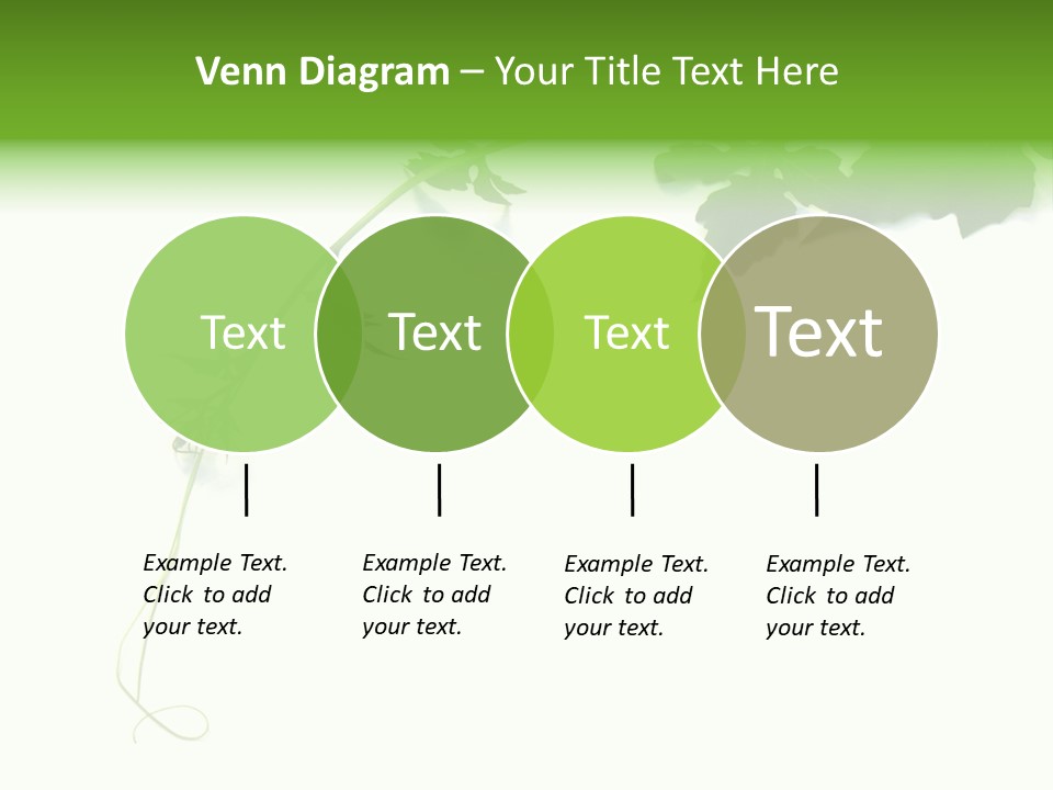 Feuille Petroselinum Sativum Vrilles PowerPoint Template