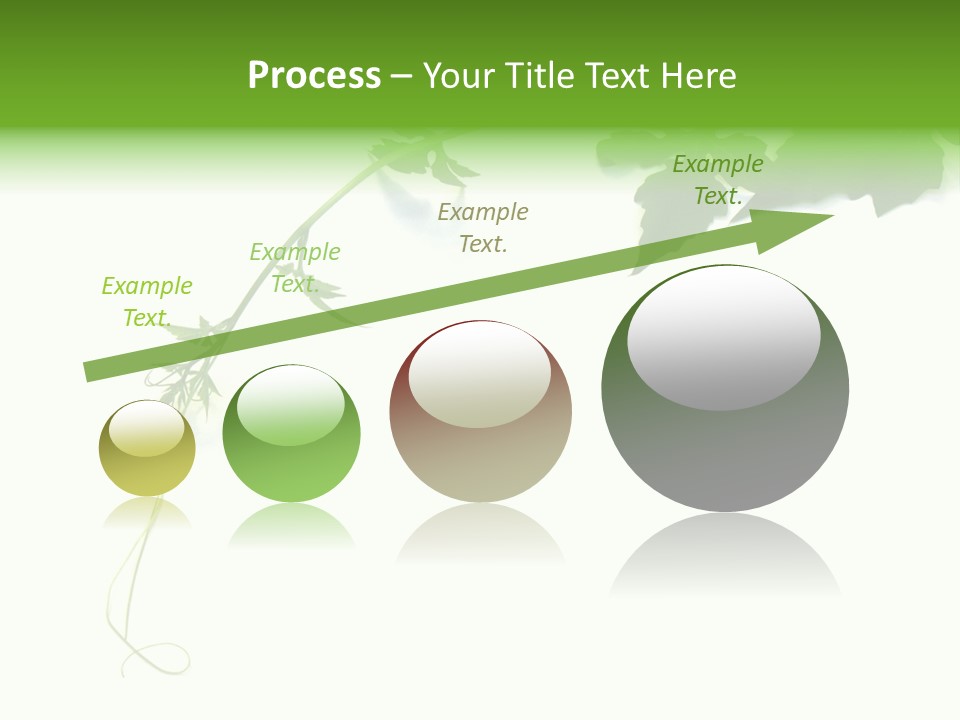 Feuille Petroselinum Sativum Vrilles PowerPoint Template