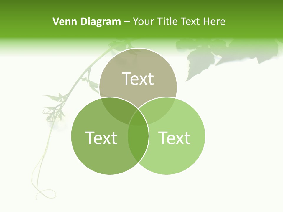 Feuille Petroselinum Sativum Vrilles PowerPoint Template