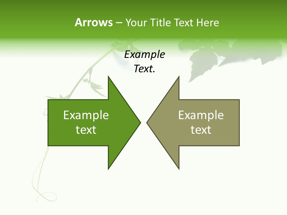 Feuille Petroselinum Sativum Vrilles PowerPoint Template