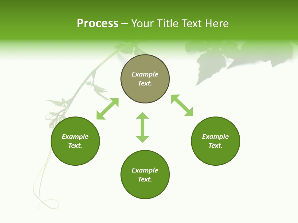 Feuille Petroselinum Sativum Vrilles PowerPoint Template